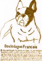 Bouledogue Francais